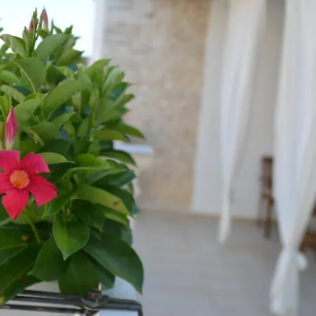 Torre Pendio Nocleg ze śniadaniem Corato